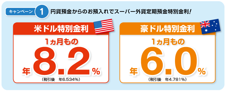 個人向け外貨定期預金キャンペーン