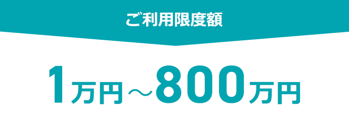 ご利用限度額1万円〜800万円