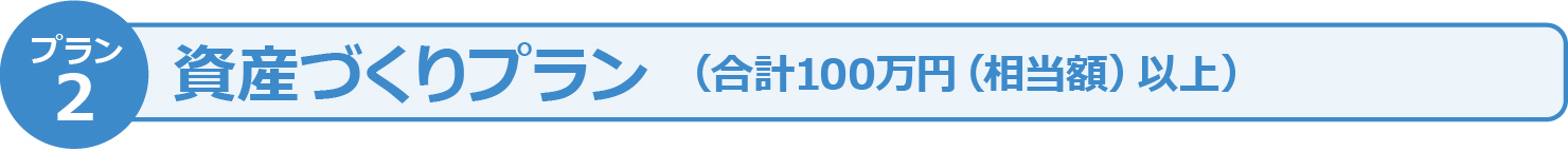 資産づくりプラン(合計100万円(相当額)以上)