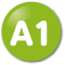 A1