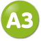 A3