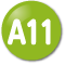 A11
