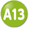 A13