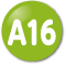 A16