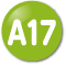 A17