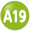 A19