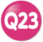 Q23